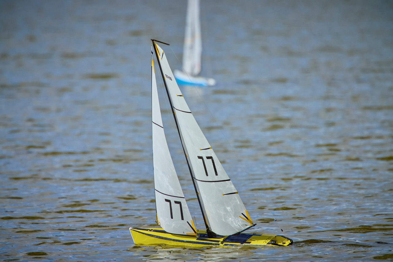 0T9A3956