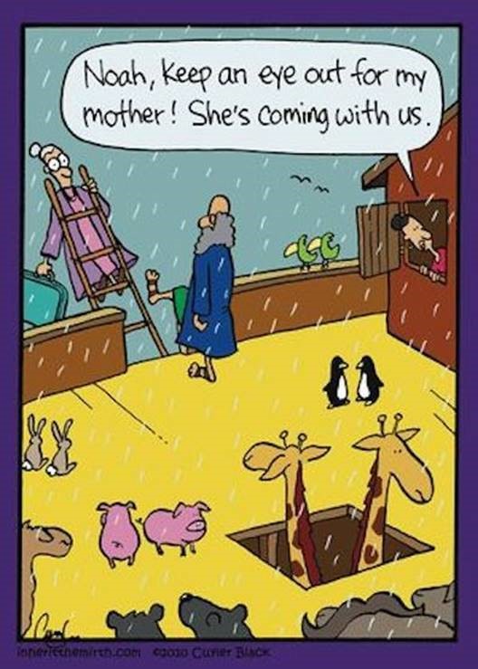 noah